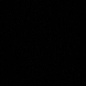 Meet your Posher, Alli